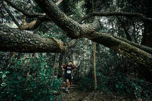 BIB: 
                            <button type="button" onclick="openModal(25705962)" class="btn btn-primary btn-sm float-right btn-popup" data-toggle="modal" data-target=".modal-high-quality">
                        <i class="fas fa-shopping-cart"></i> Add to Cart
                    </button>
                                            <button type="button" onclick="isThisMe(25705962, true)" class="btn btn-success btn-sm float-right btn-popup btn-isme hidden" data-toggle="tooltip" data-placement="bottom" title="นี่คือรูปของคุณใช่ไหม คลิกที่นี่เพื่อเอาเข้าอัลบั้ม">
                        <i class="fas fa-plus"></i> Add to album
                    </button>
                    <button type="button" onclick="isThisMe(25705962, false)" class="btn btn-warning btn-sm float-right btn-popup btn-isnotme hidden">
                        <i class="fas fa-ban"></i> Remove from album
                    </button>